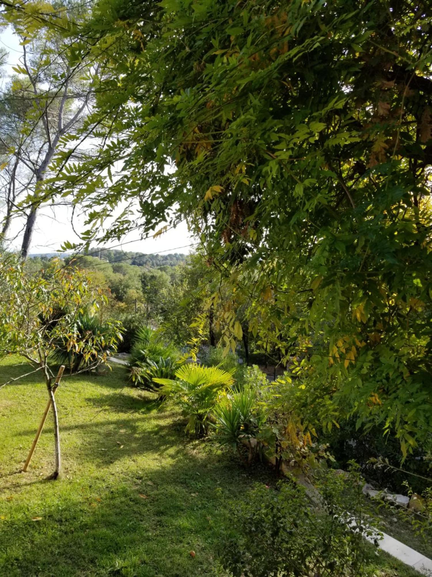 مبيت وإفطار روكفور-لا-بين O Tilia D'Azur المظهر الخارجي الصورة